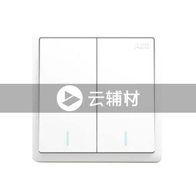 AQ102二位单控带荧光开关 10AX 