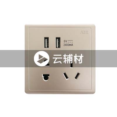 AQ293-CG带双USB充电二位二三极插座 10A，金色