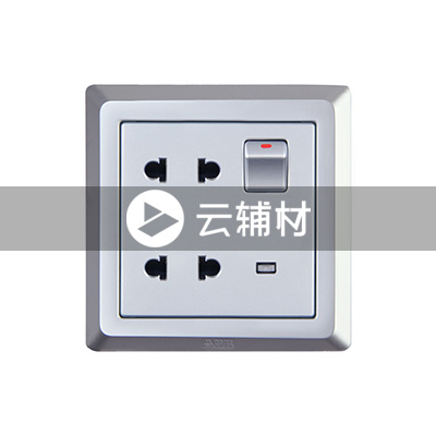 AE234-S 二位二极扁圆两用带开关带灯插座 （银色）10A