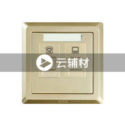 AE323-PG 二位电话/电脑插座（香槟金）