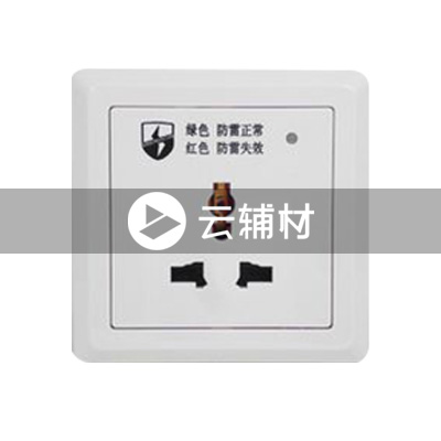 AL290一位防雷万能电源插座 10A