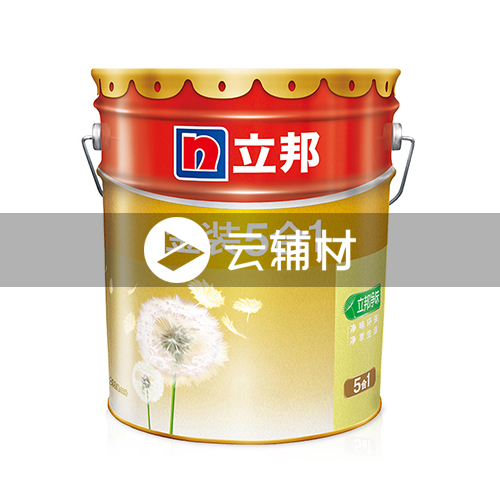 立邦金装5合1  18L