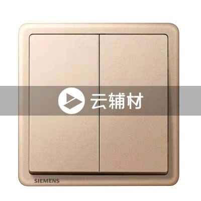 西门子致琦日耀金10AX 二位中途开关