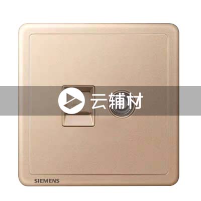 西门子致琦日耀金电视+六类电脑插座CAT6