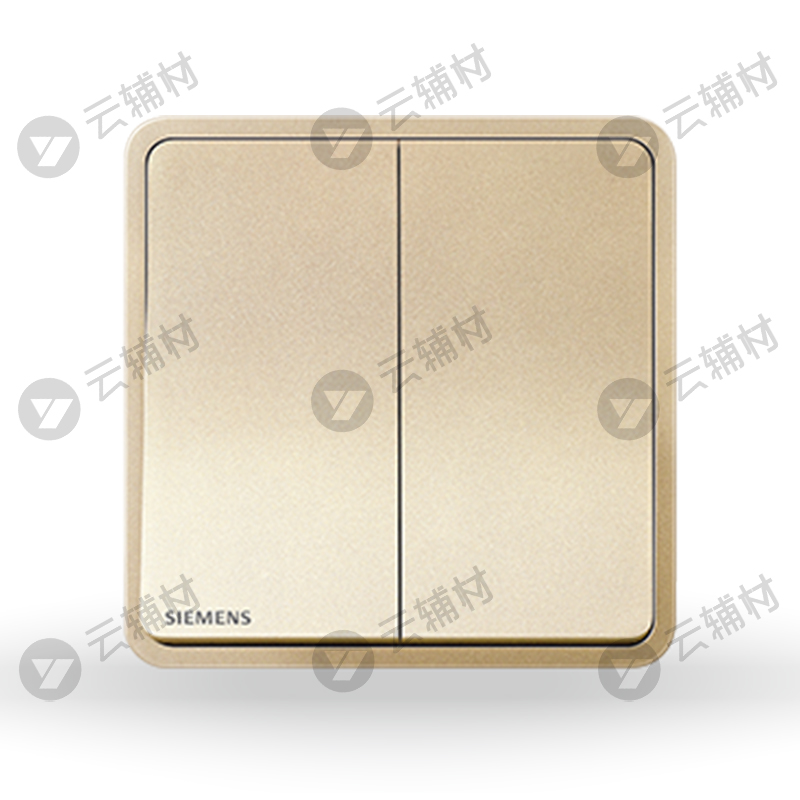 西门子睿绎星辉银16AX二位单控开关