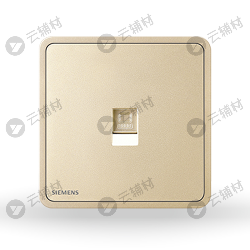 西门子睿绎日曜金一位电脑(6类)插座