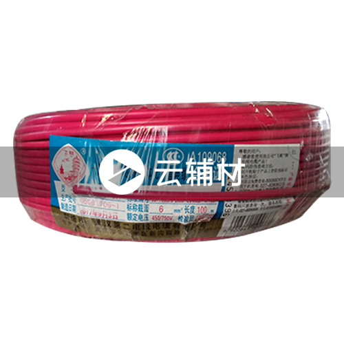 武汉二厂WDZC-BYJ10.0^电线 红 100米