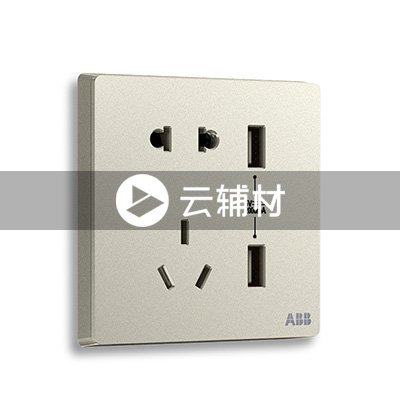 AF293-CS二位带USB充电中标二三极插座10A