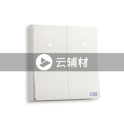 AF182二位单控带灯开关 16AX