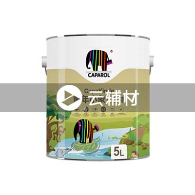 童年小象儿童漆5L