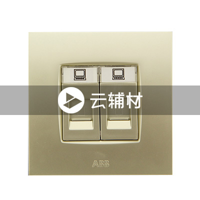 AU33244-PGPG 二位八芯超5类电脑插座 珍珠金