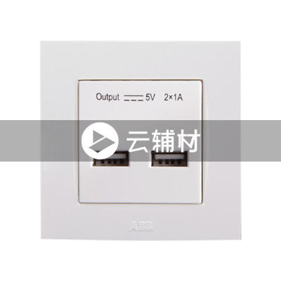 AU29344 二位USB充电插座